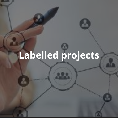 Labelled projects